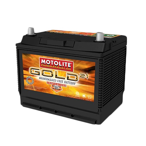 [GOLD-NS40NS40R] Pili Battery Sales Inc. Gold NS40 SIZE: NS40/R