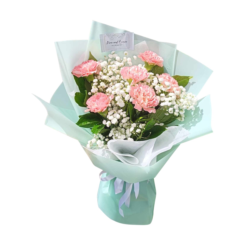 [pnb03] 6 Stems Of Blush Pink Carnation With Gypso As Fillers