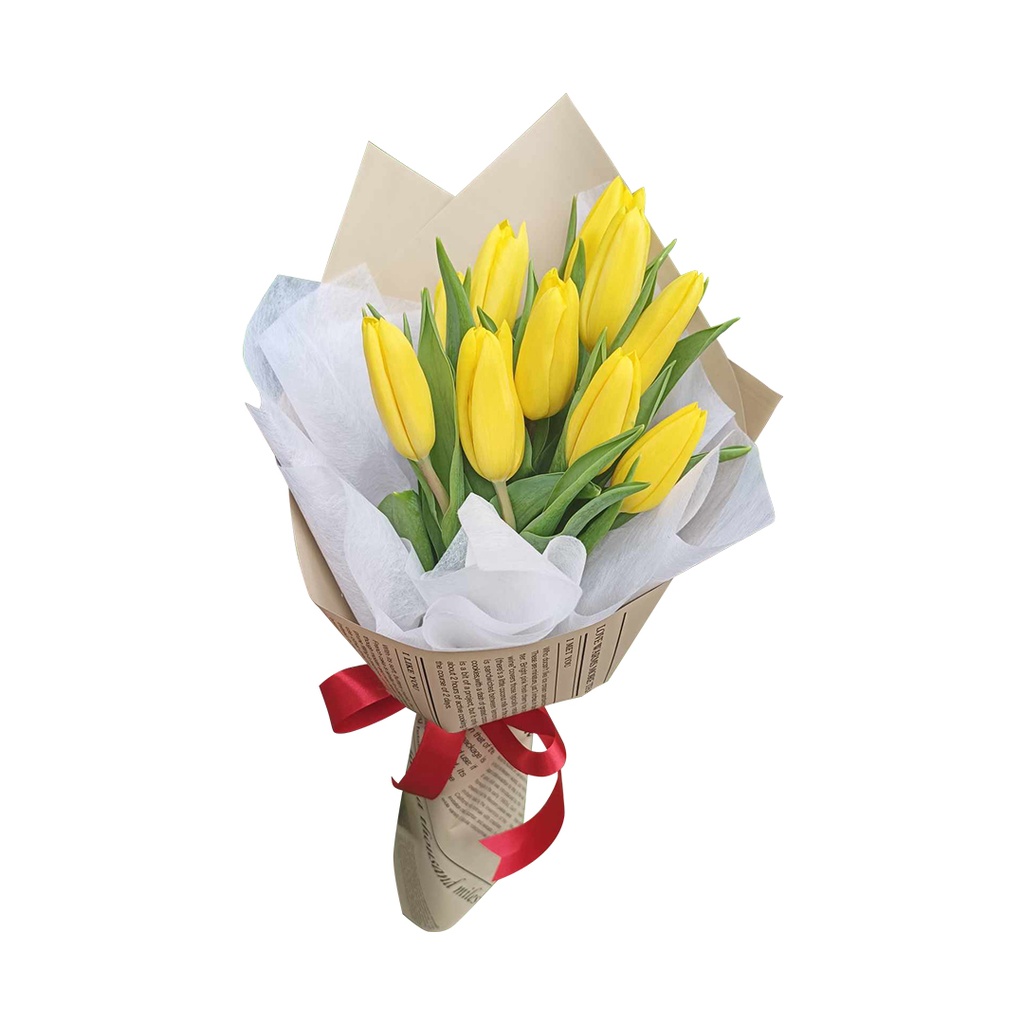 [pnb07-e] 10 Stems Of  Tulips In A Simple Wrap - (E)