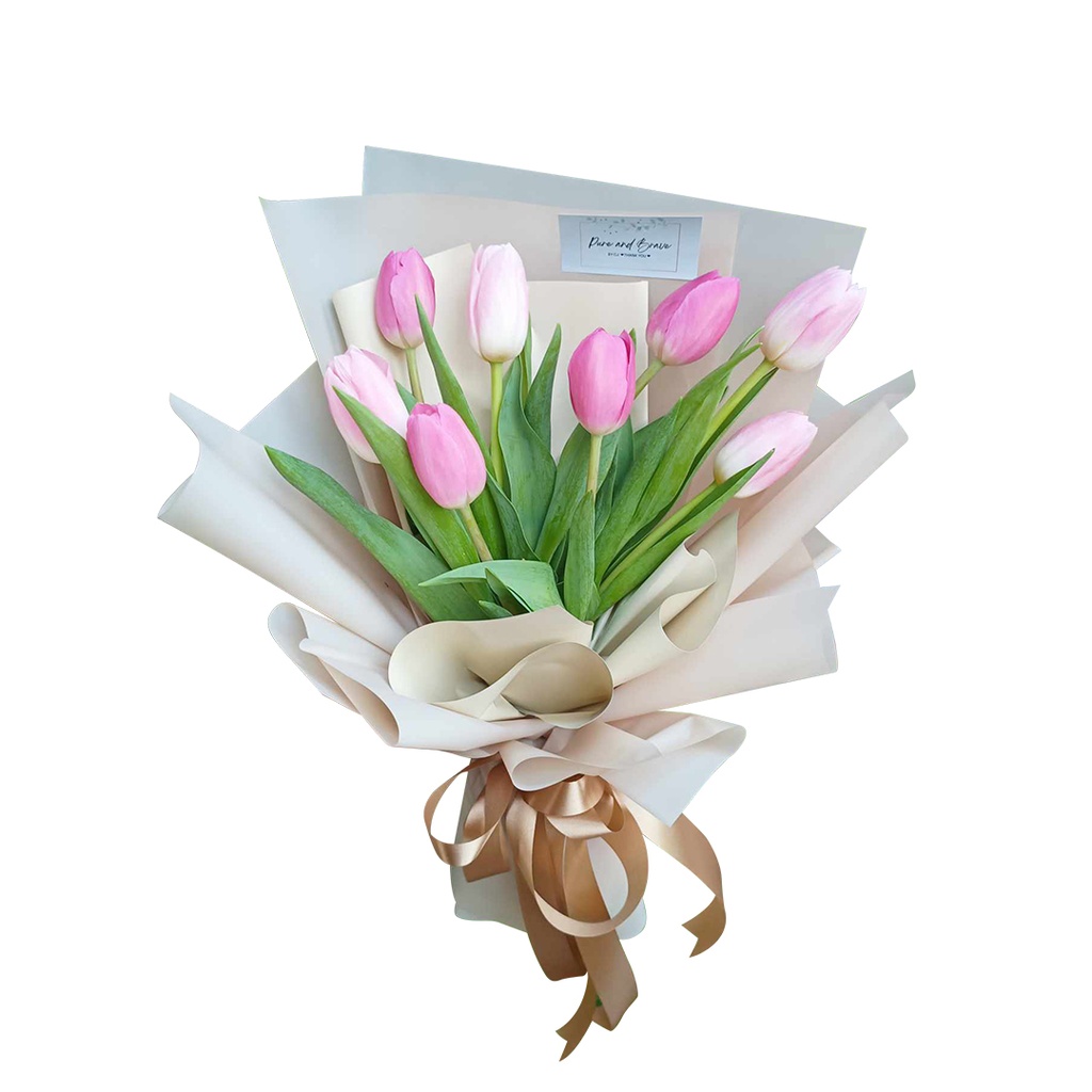 [pnb22-a] 8 Stems Of Tulips - (A)