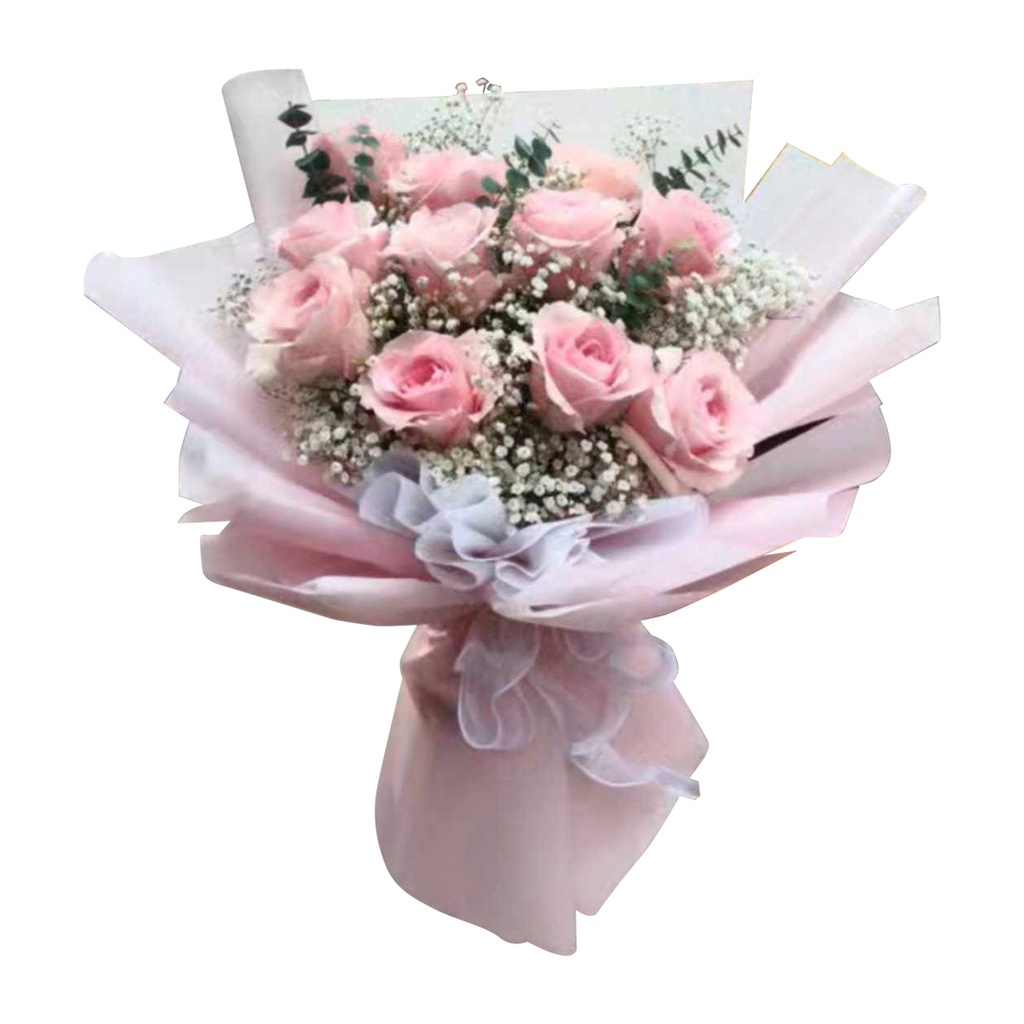 [pnb32] 12 Stems Of Light Pink Equadurian With Gypsophilla &amp; Eucalyptus 