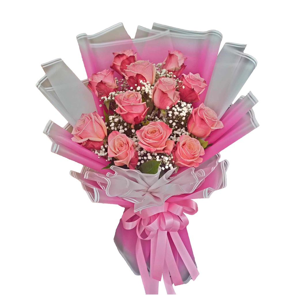 [pnb33] 12 Stems Of Blush Pink Equadurian With Gypsophilla 